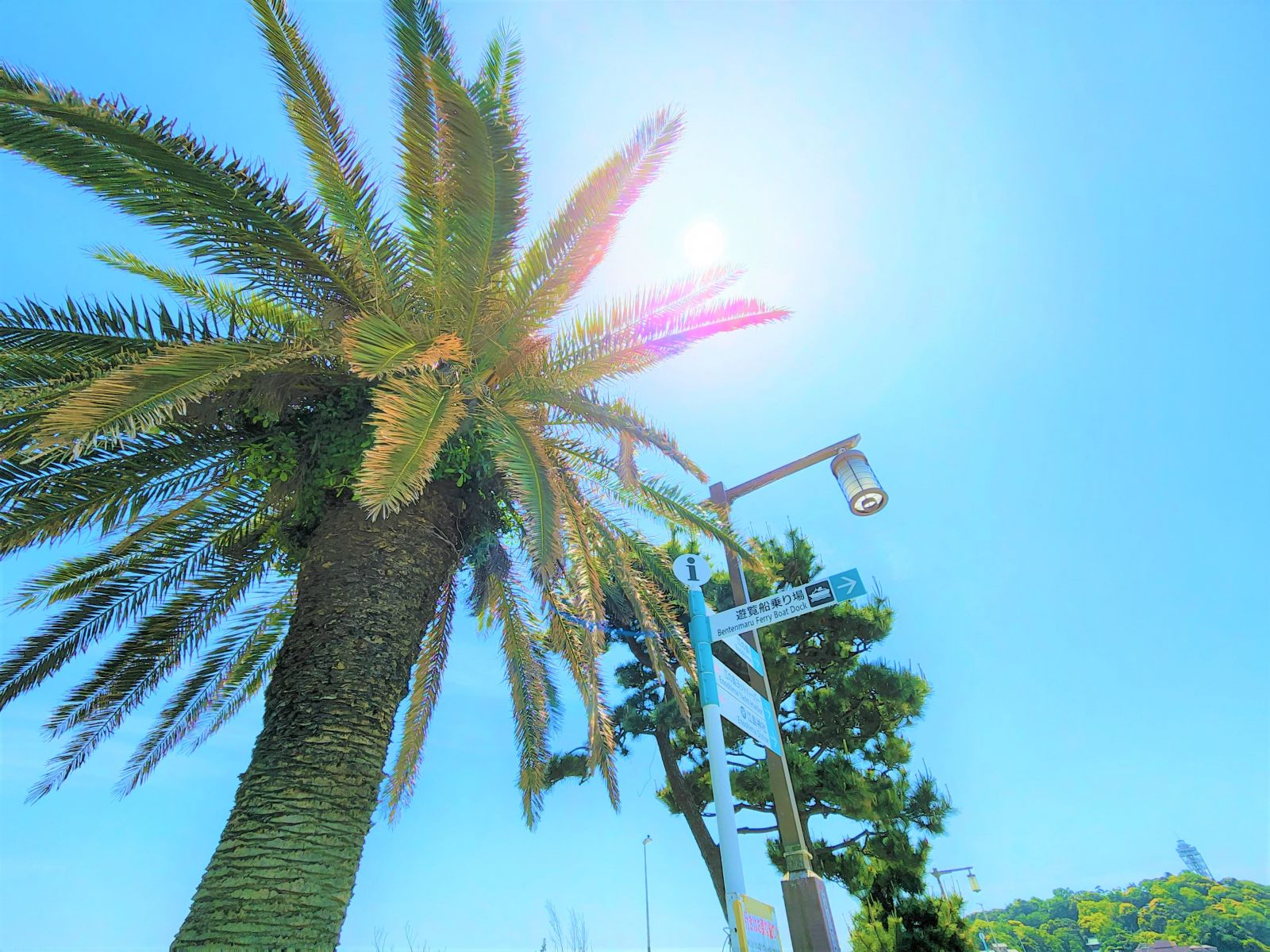 4/9 その他写真1