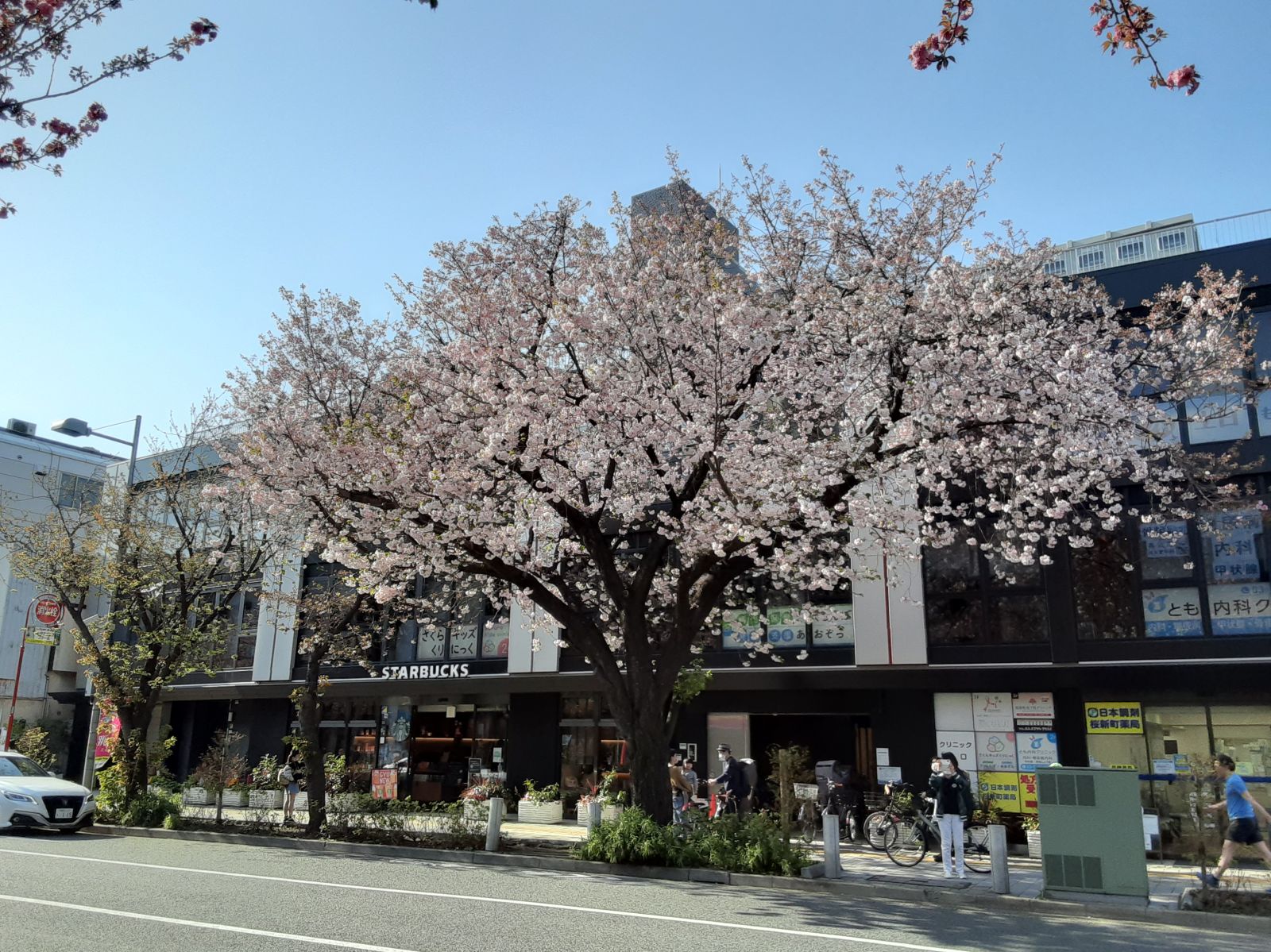 4/9 その他写真1