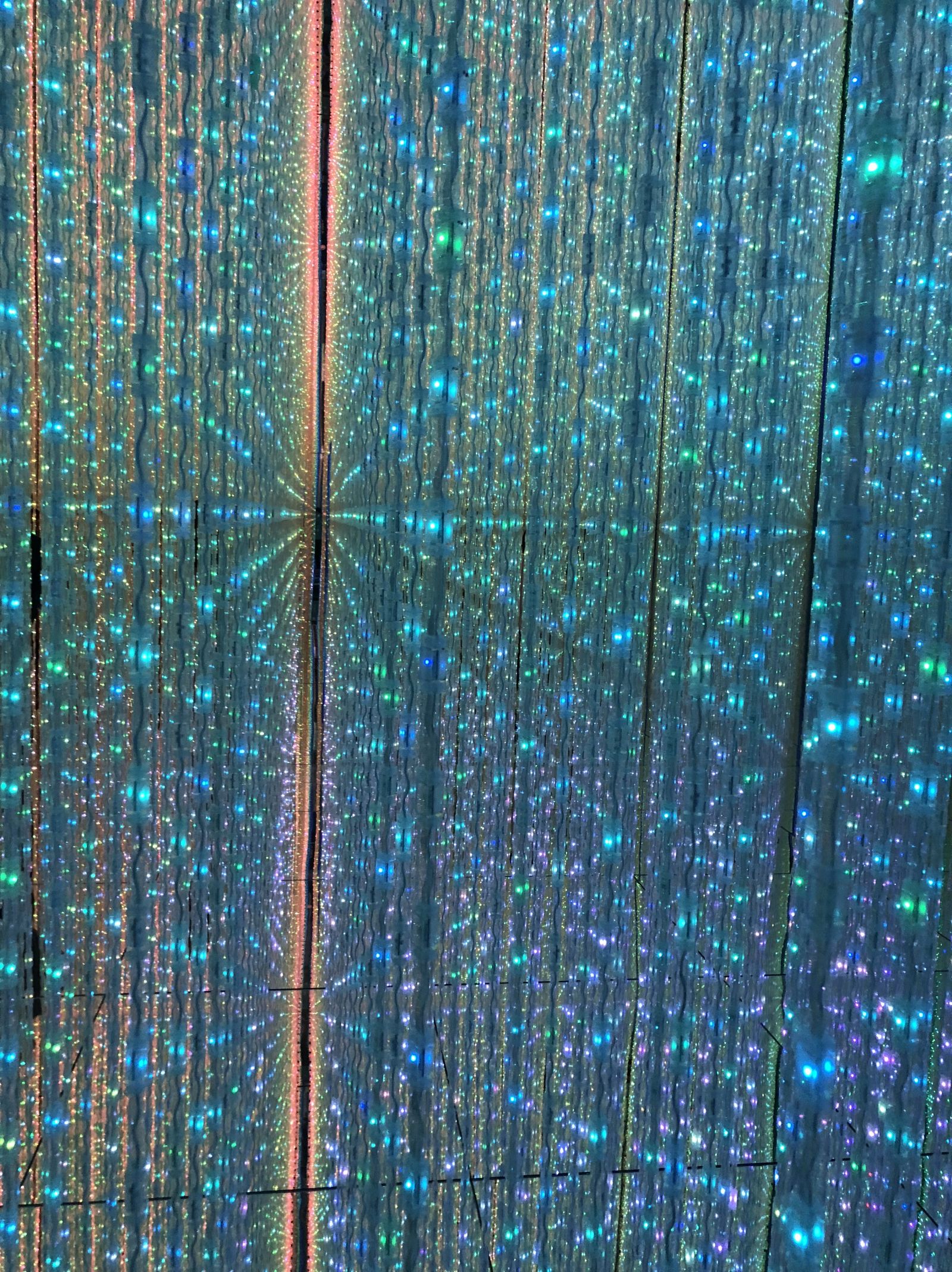 4/9 その他写真1