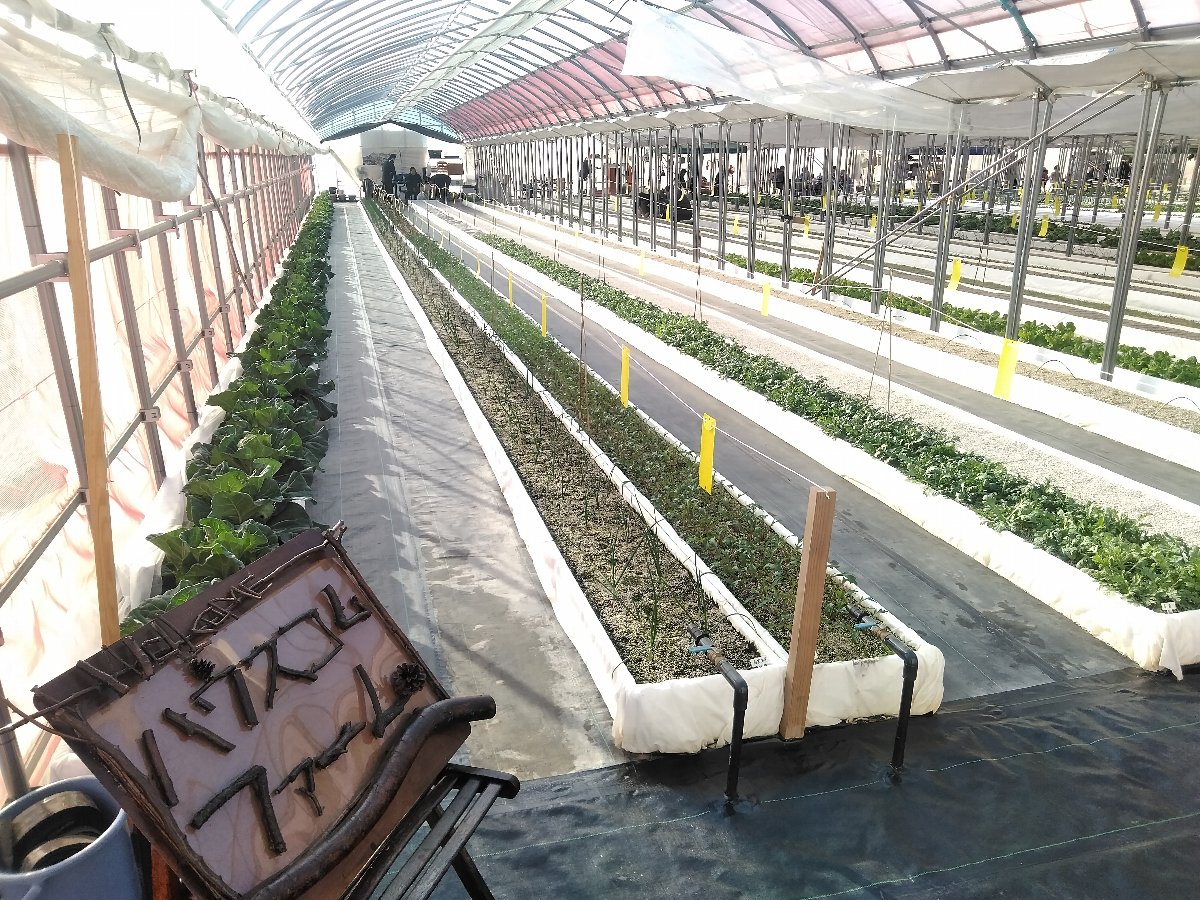 4/9 その他写真1