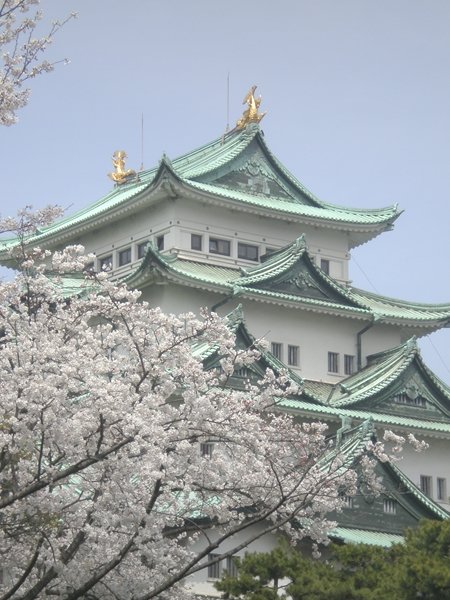 4/9 その他写真1