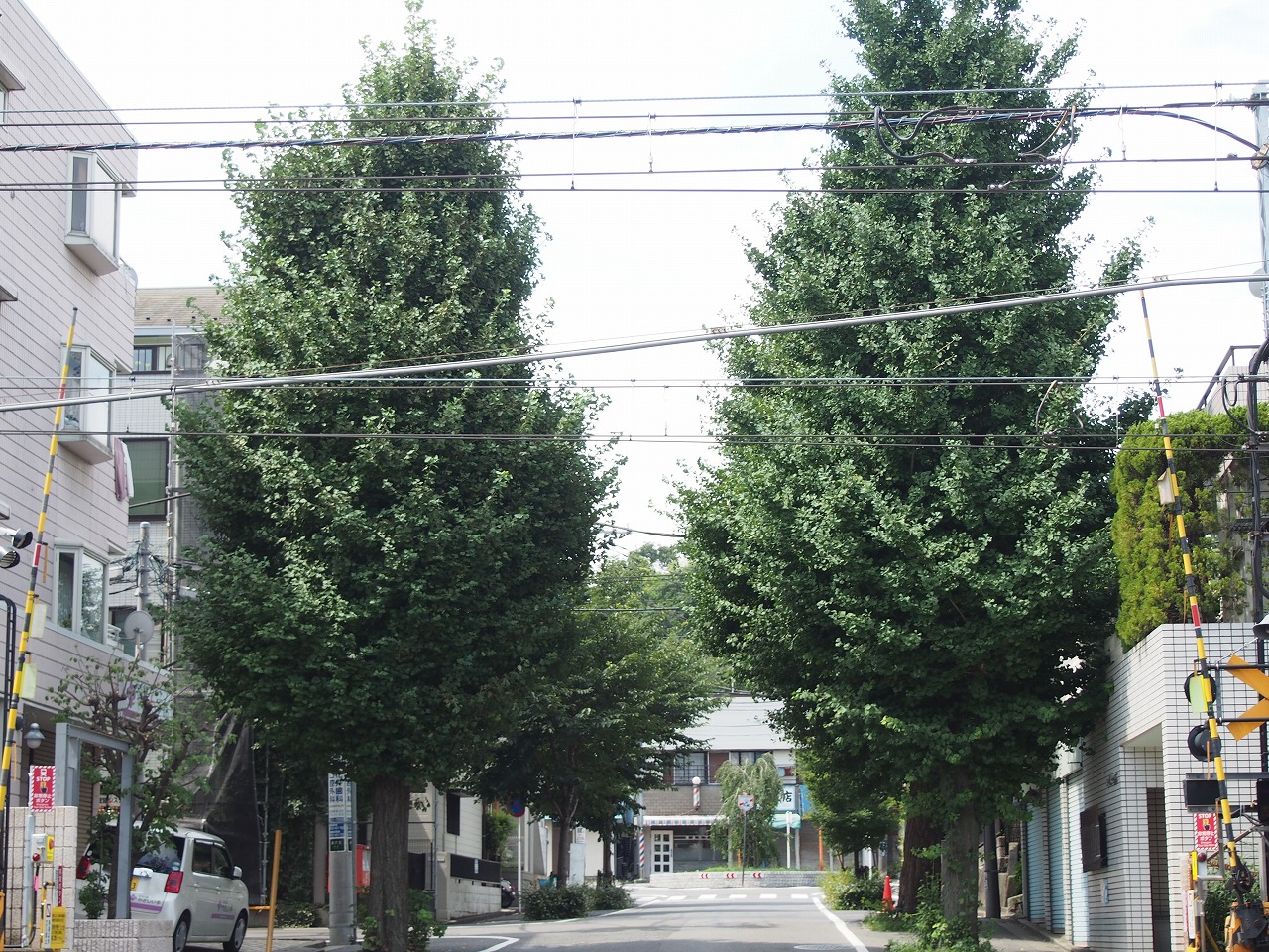 4/9 その他写真1