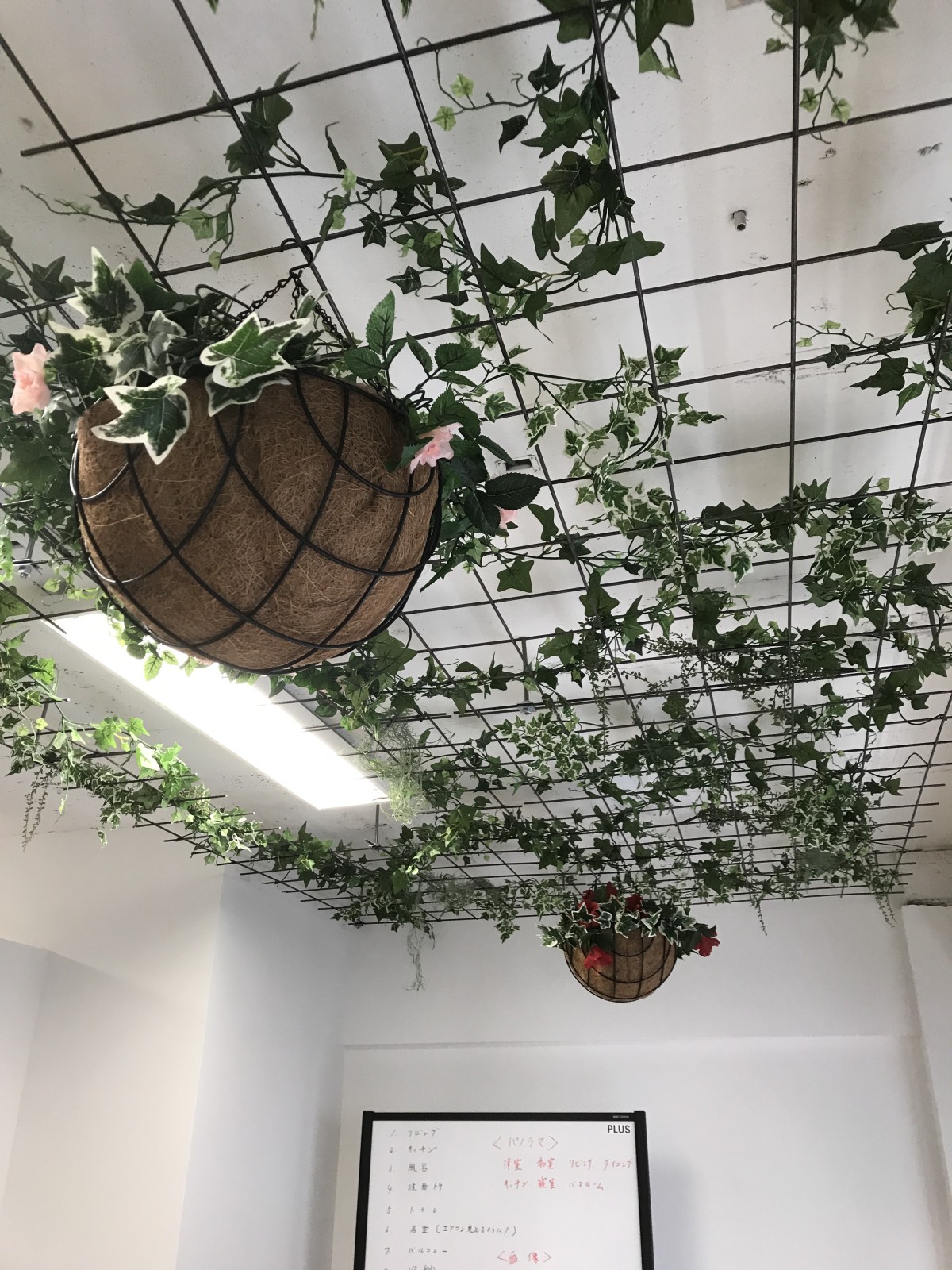 3/3 その他写真1