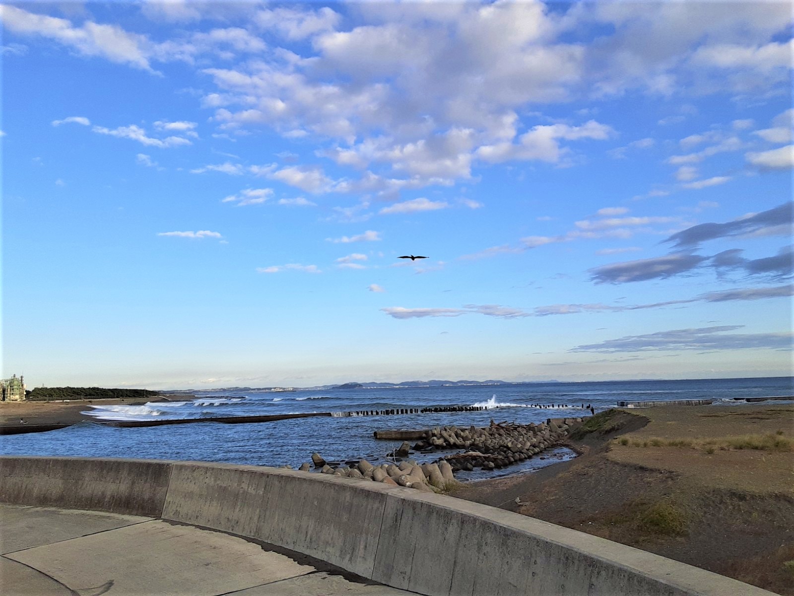 5/9 その他写真2