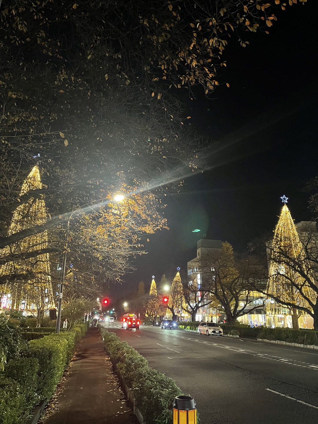 5/9 その他写真2