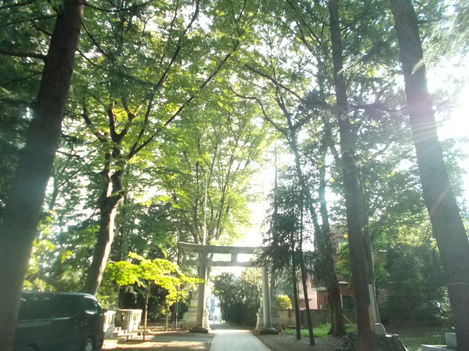 5/9 その他写真2