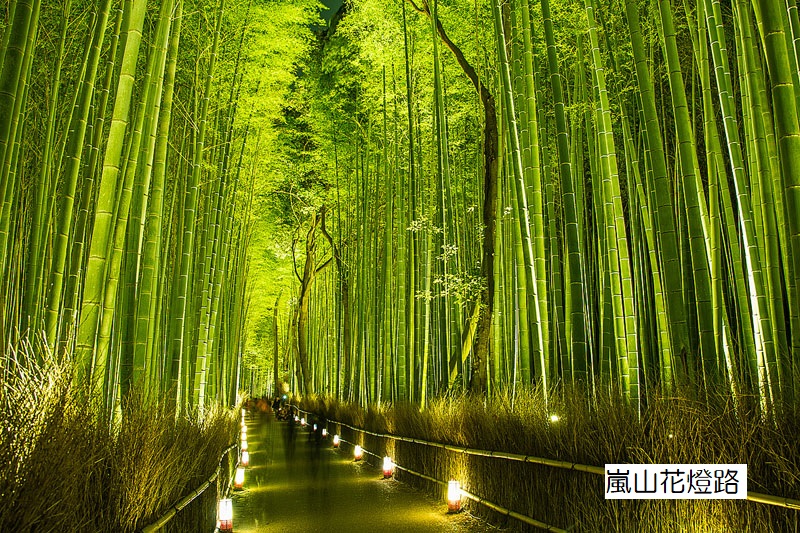 5/9 その他写真2