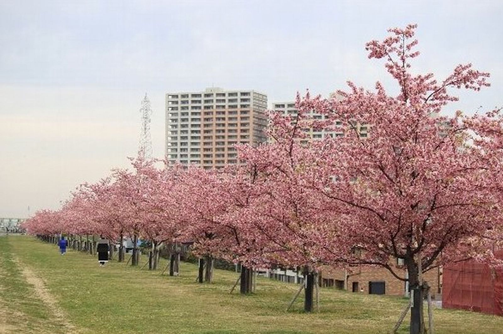 5/9 その他写真2