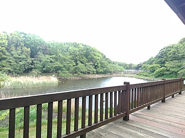 5/9 その他写真2