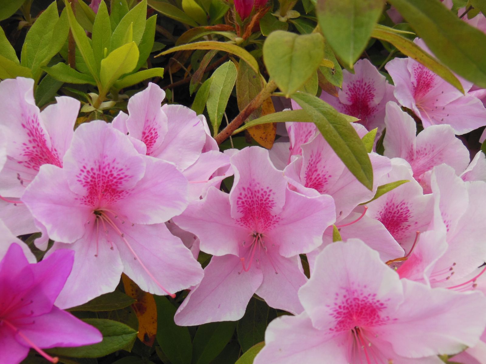 5/9 その他写真2