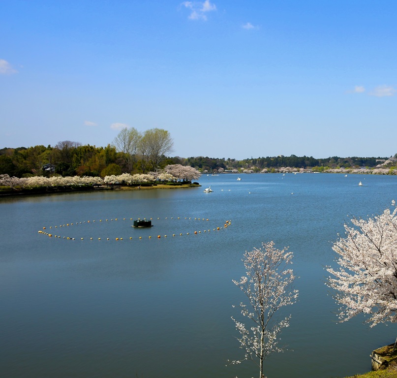 5/9 その他写真2