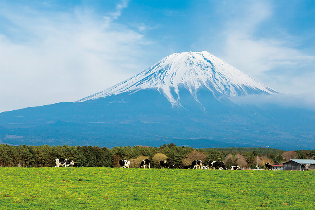 5/9 その他写真2