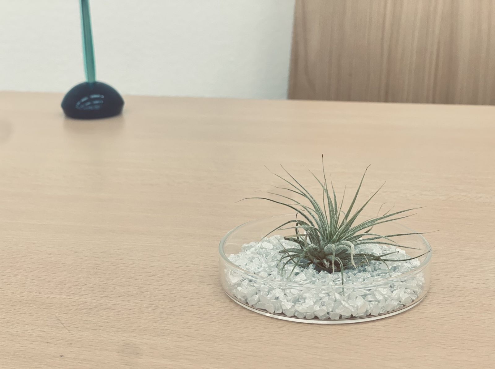 5/9 その他写真2