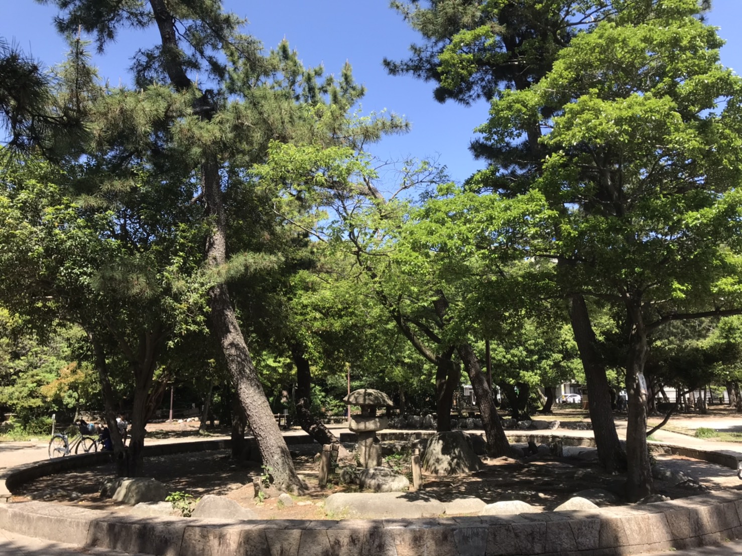 6/9 その他写真3