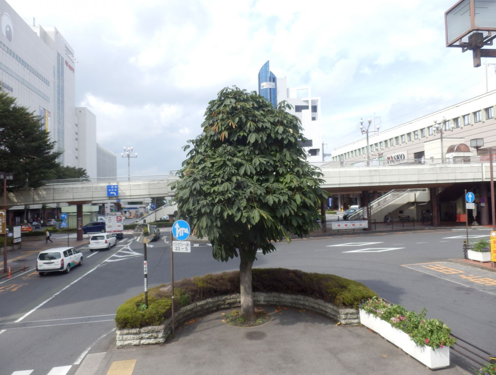 6/9 その他写真3