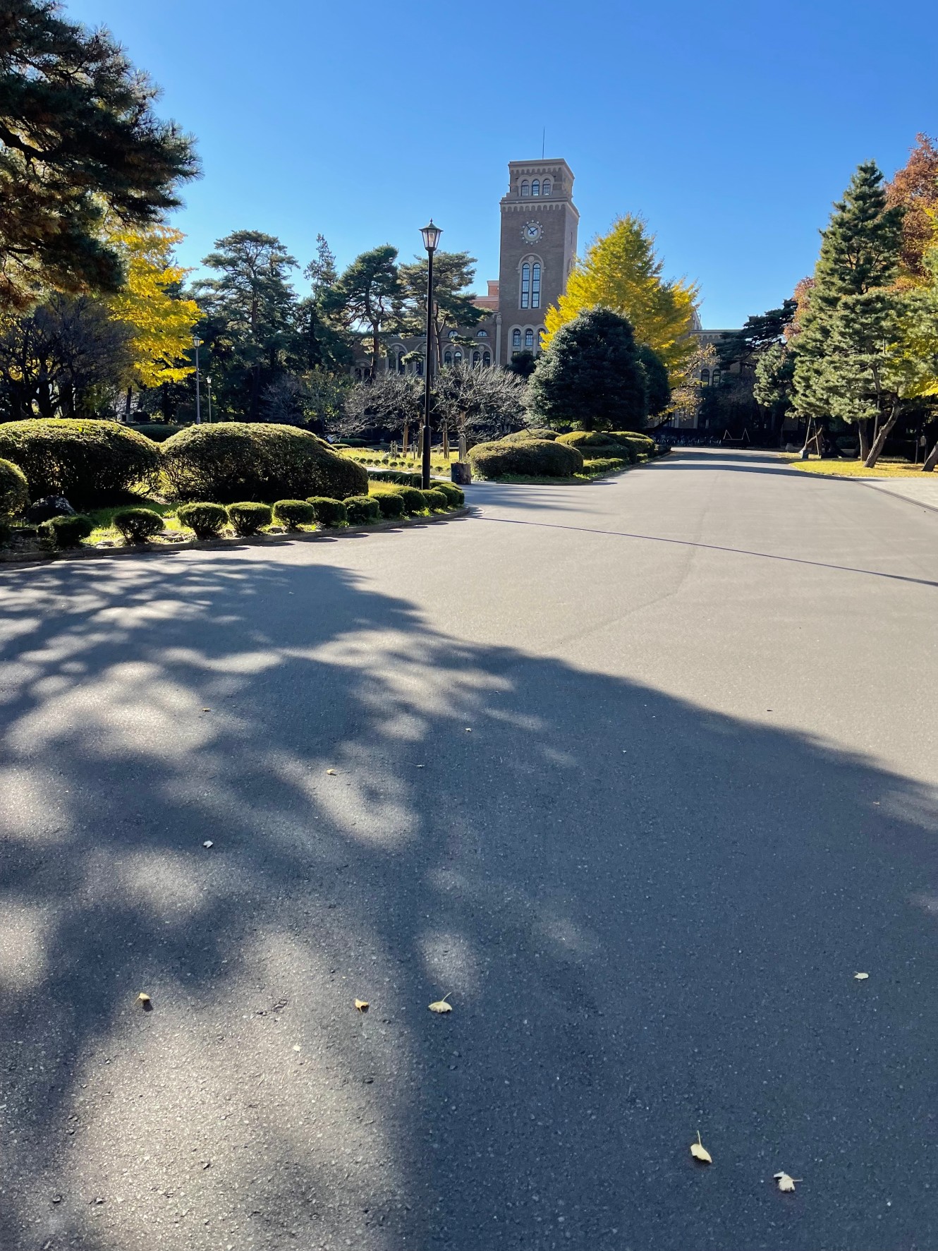 6/9 その他写真3