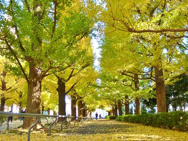 6/9 その他写真3