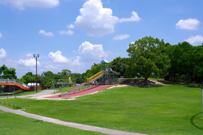 6/9 その他写真3