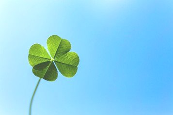 6/9 その他写真3