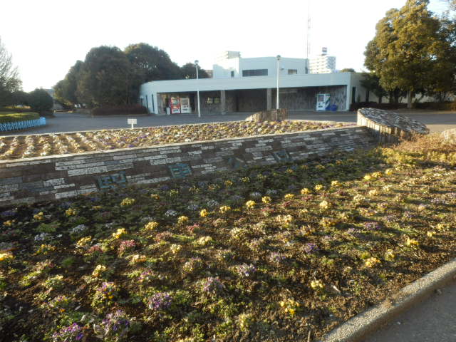 6/9 その他写真3