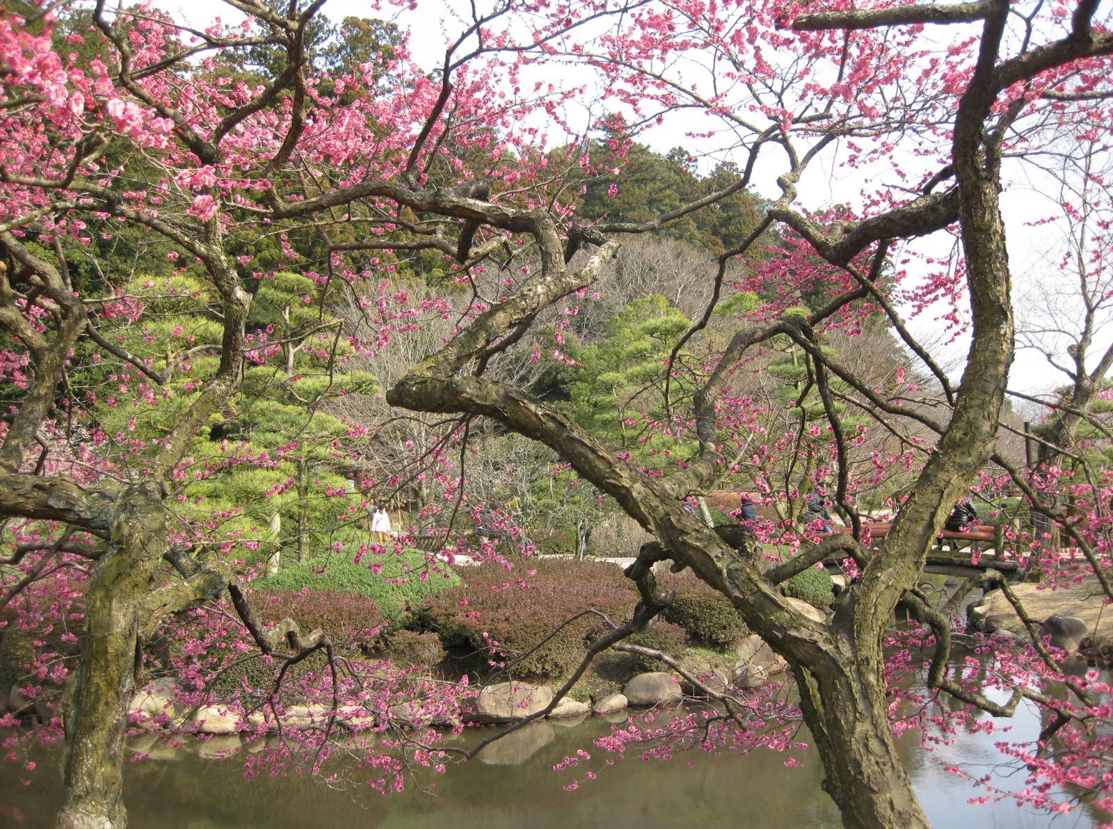 6/9 その他写真3