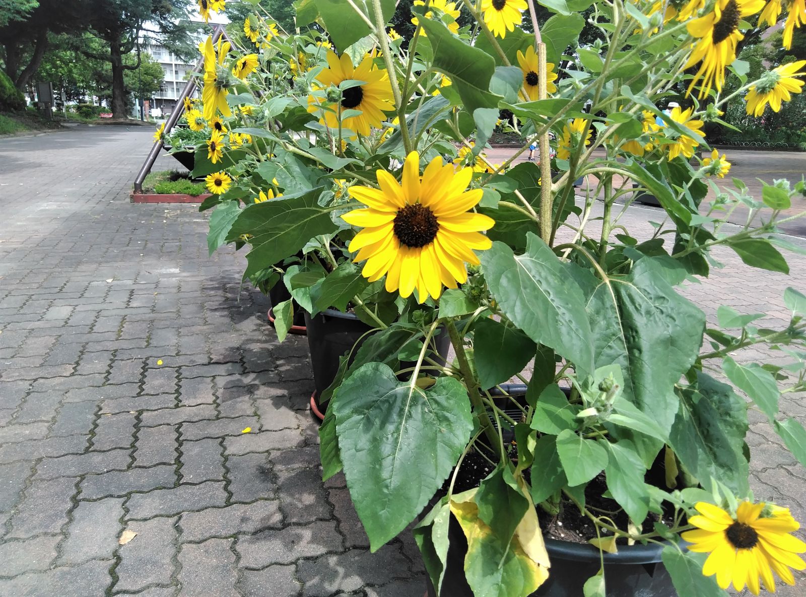 6/9 その他写真3