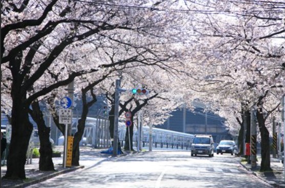 6/9 その他写真3