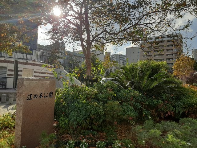 6/9 その他写真3