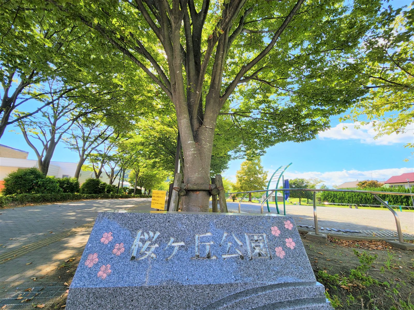 7/9 その他写真4