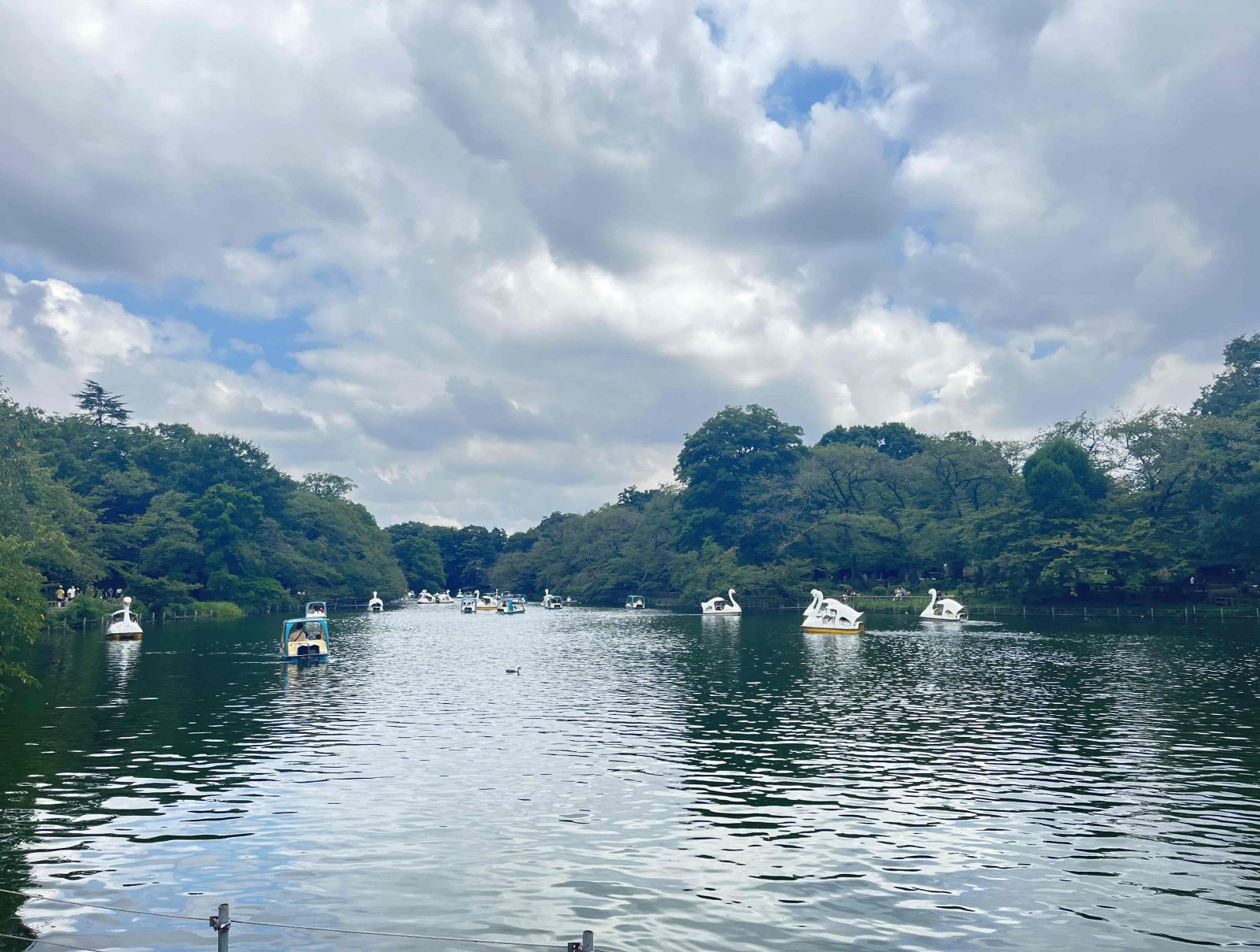 7/9 その他写真4