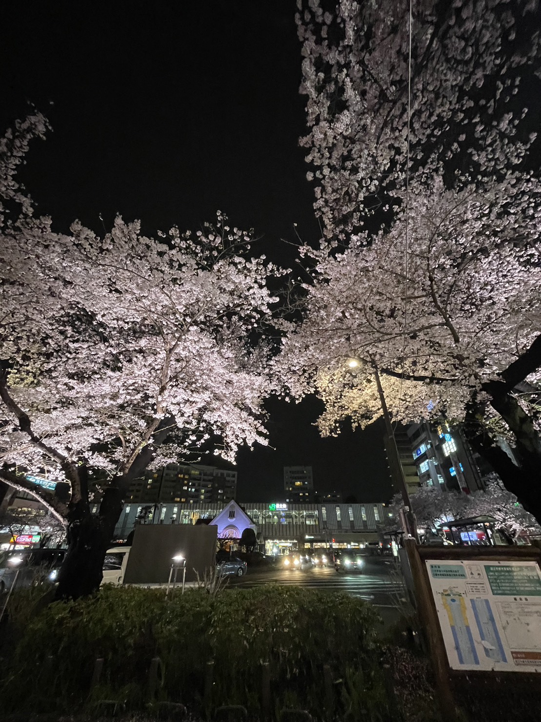 7/9 その他写真4