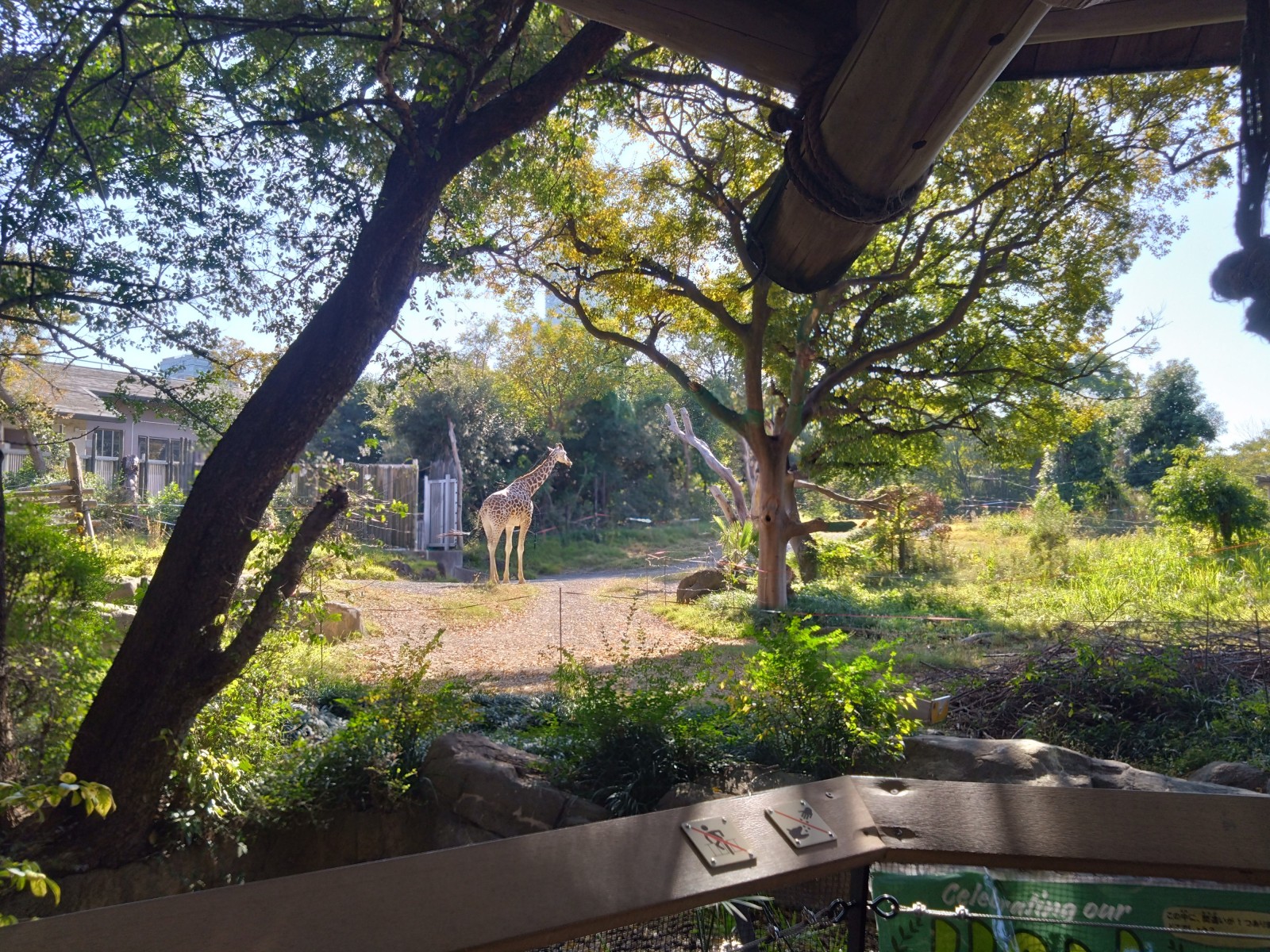 7/9 その他写真4