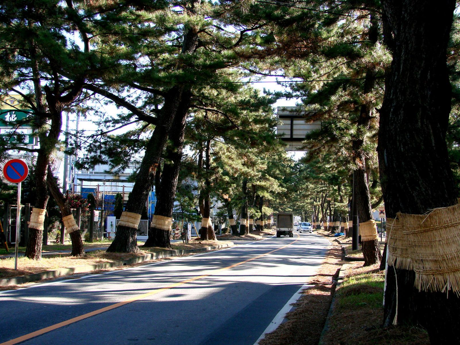 7/9 その他写真4