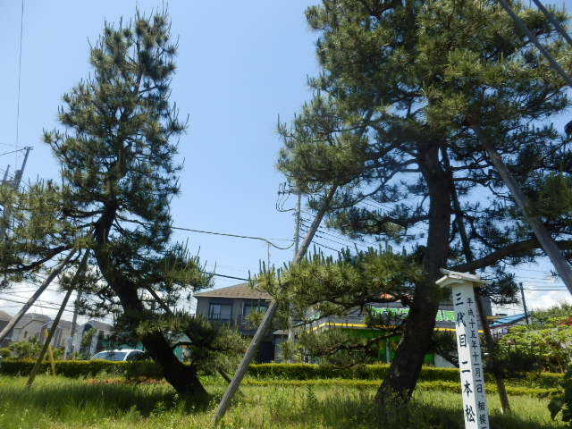 7/9 その他写真4