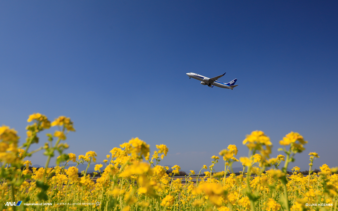 7/9 その他写真4