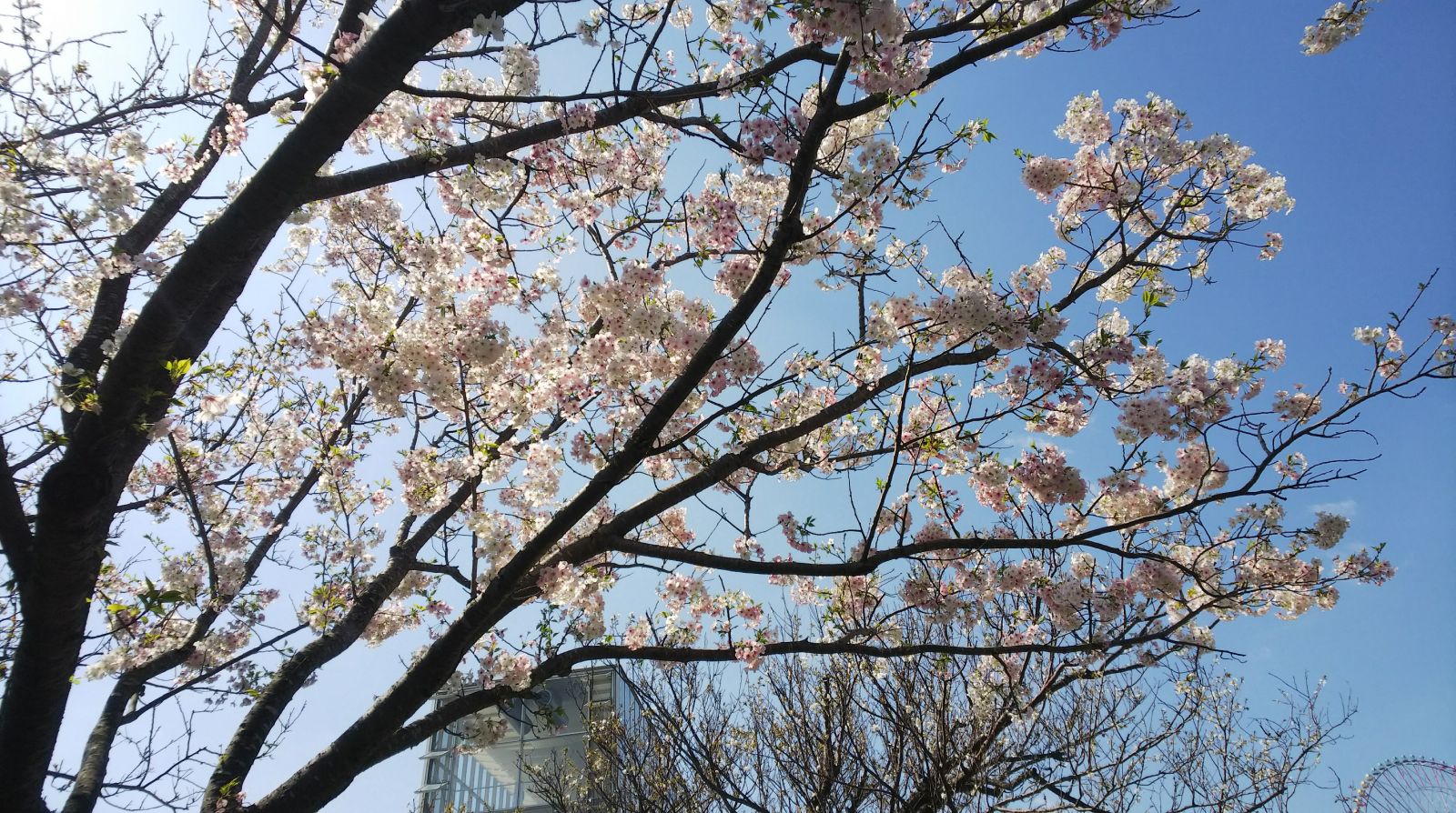 7/9 その他写真4