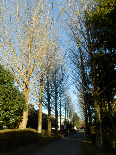 7/9 その他写真4