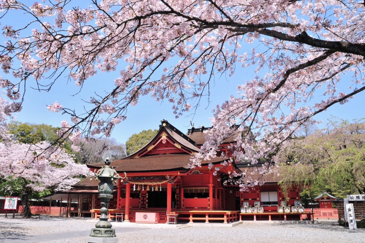 7/9 その他写真4