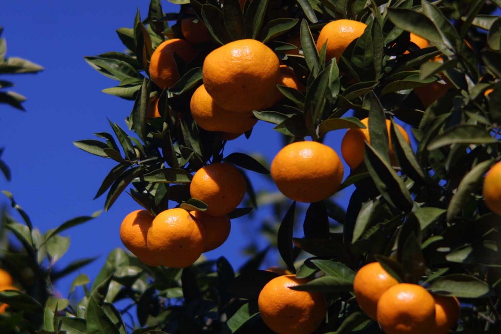 8/9 その他写真5