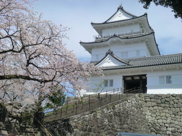 8/9 その他写真5