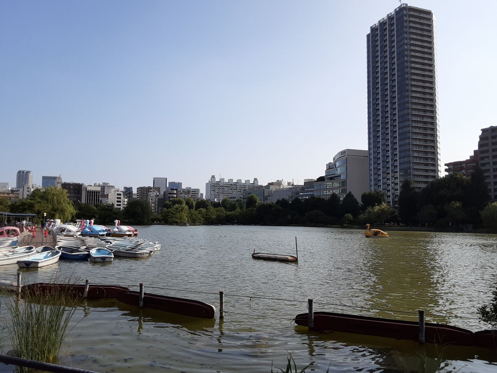 8/9 その他写真5