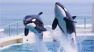 8/9 その他写真5