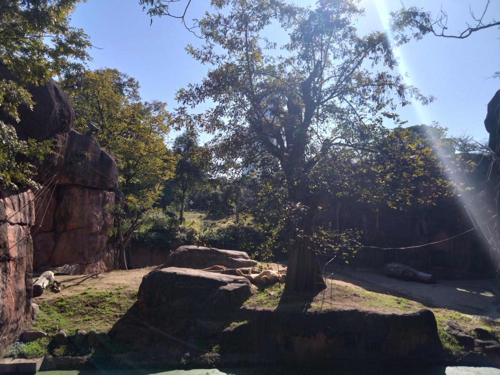 8/9 その他写真5