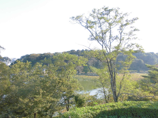 8/9 その他写真5