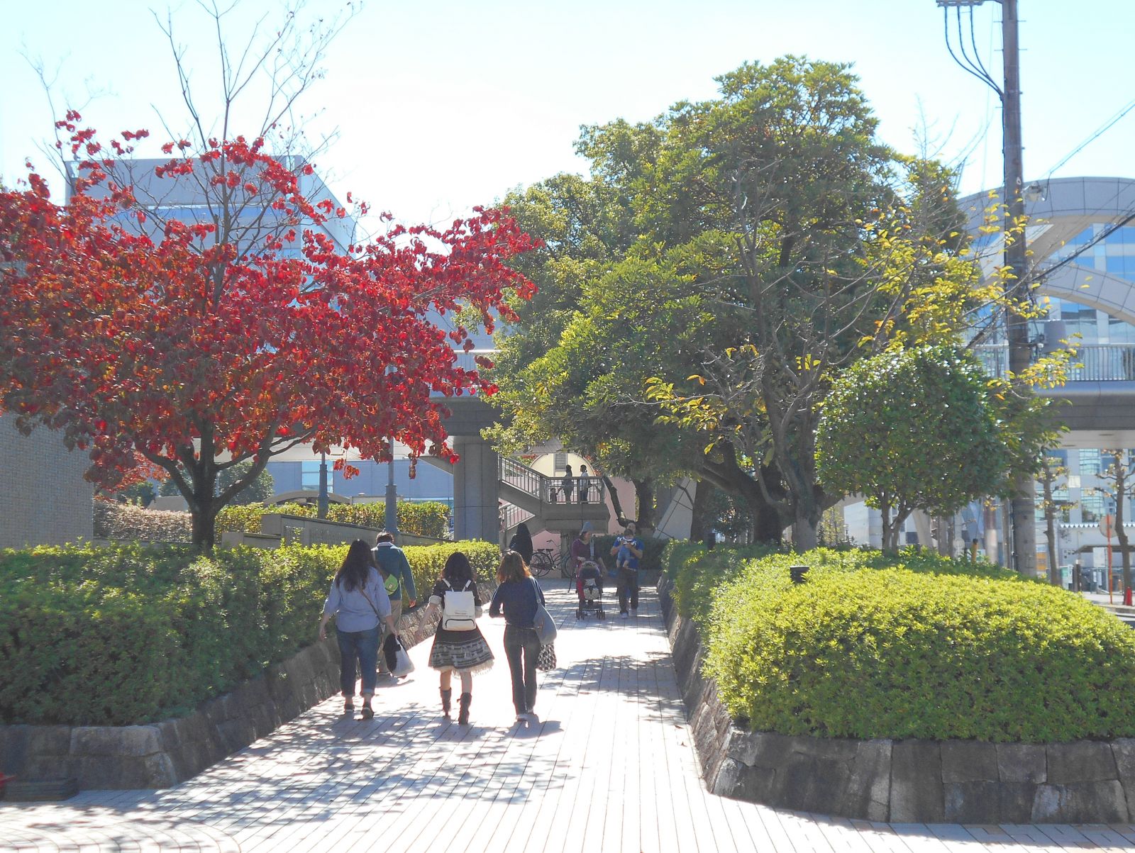 8/9 その他写真5