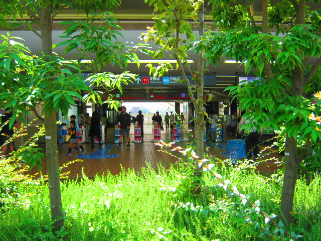 8/9 その他写真5