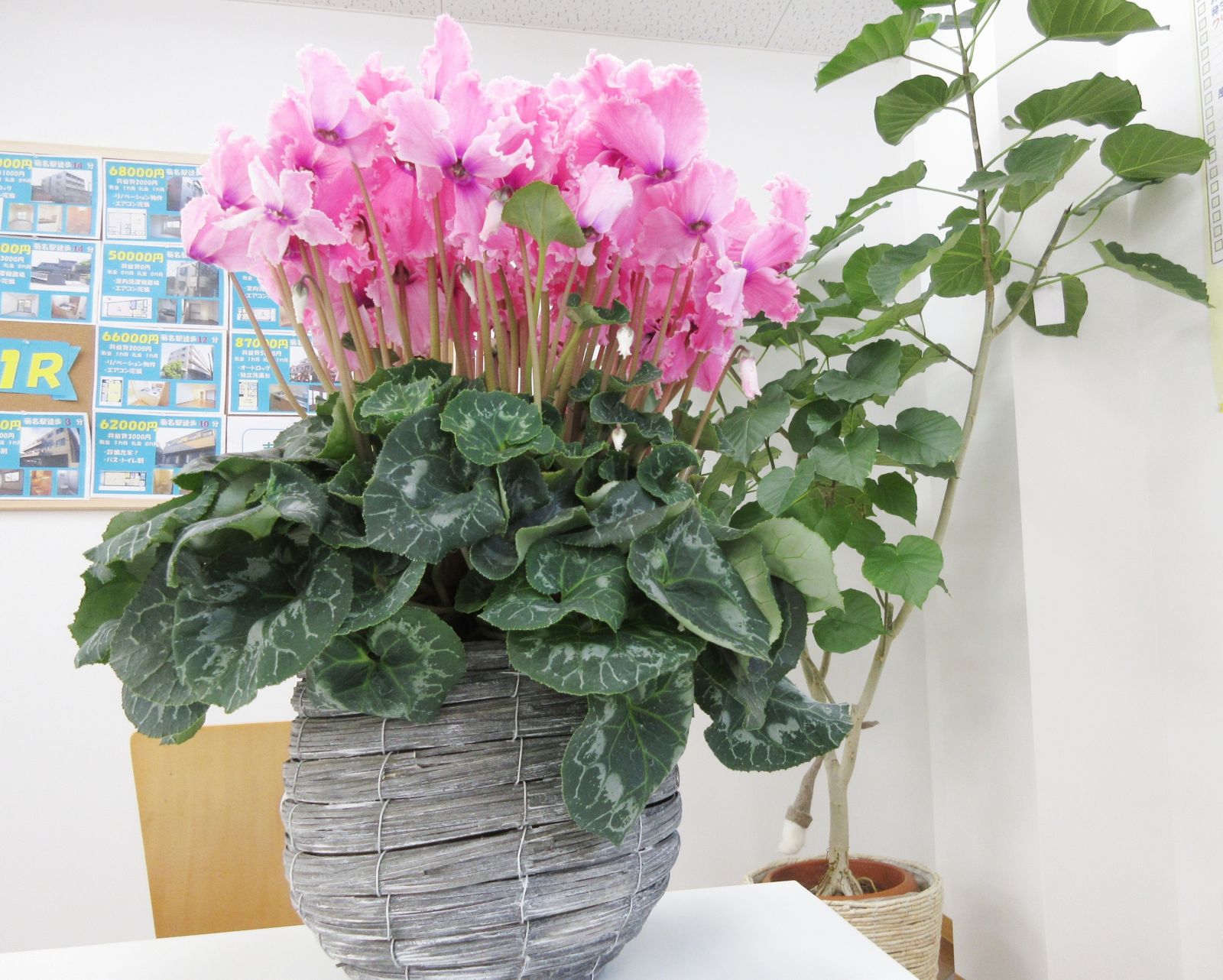 8/9 その他写真5