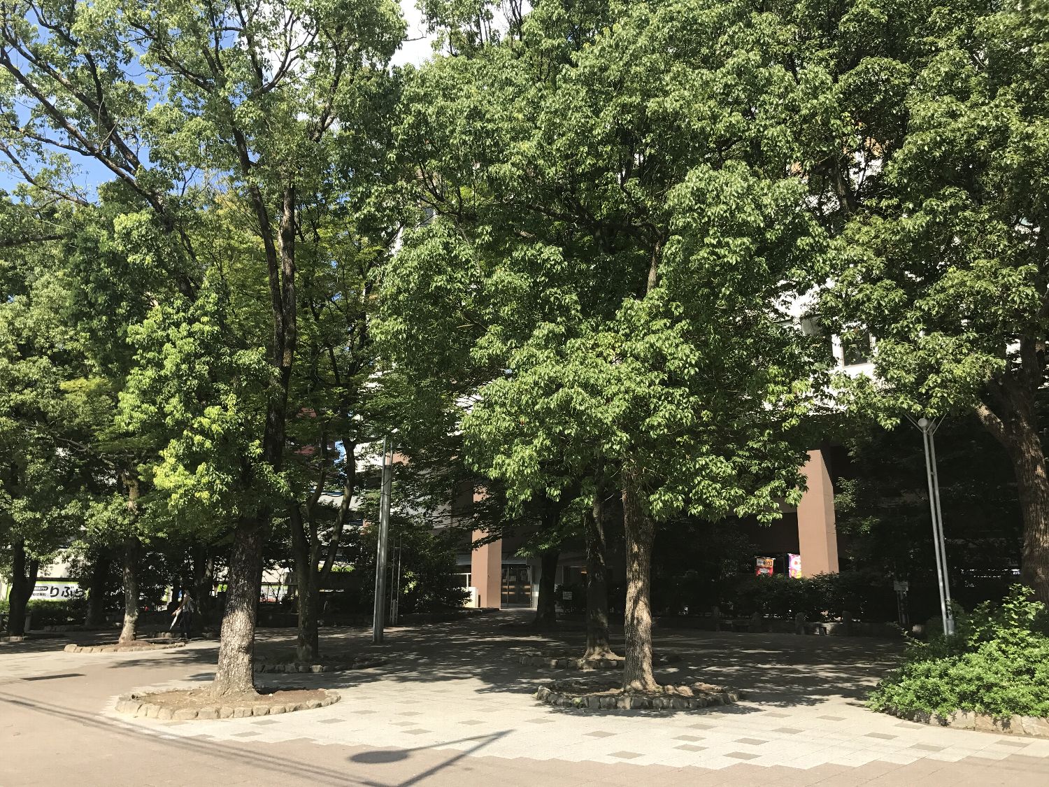 8/9 その他写真5