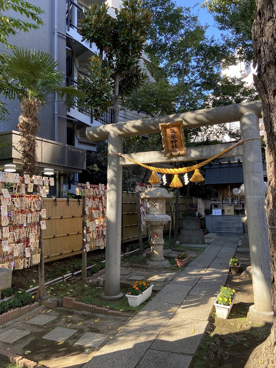 8/9 その他写真5