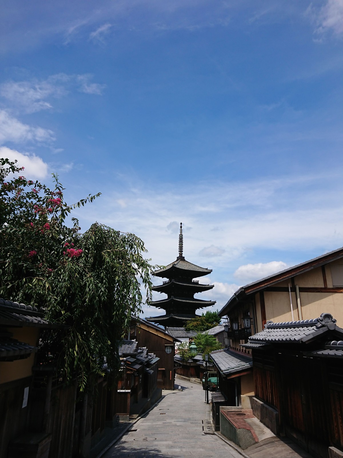 8/9 その他写真5